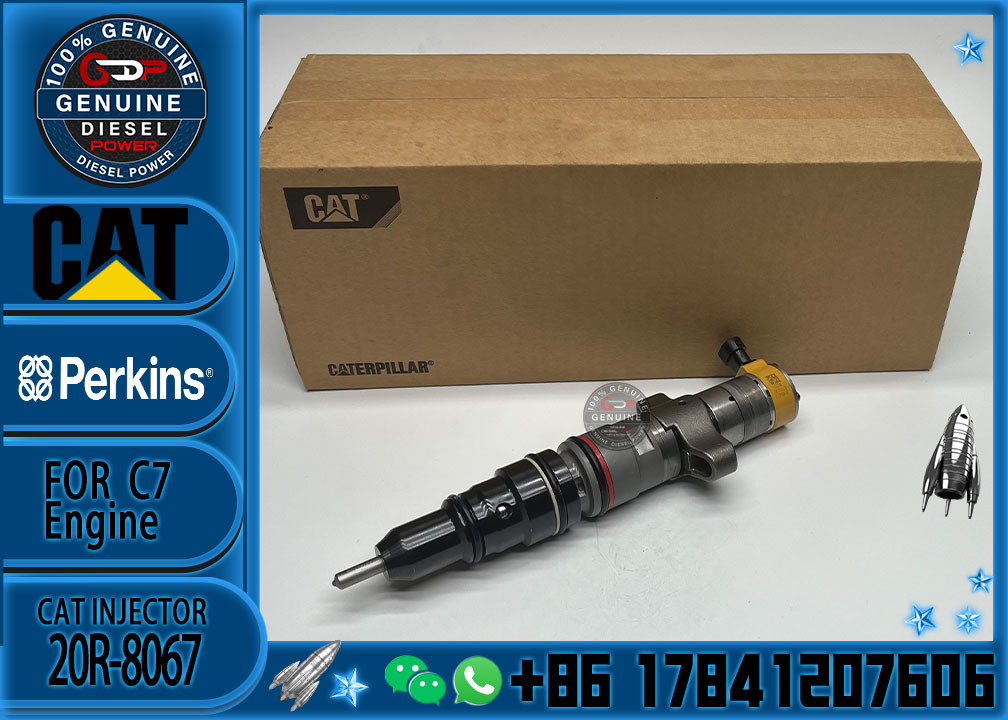 Diesel Engine Parts Common Rail Fuel Injector 20R-8067 for CAT C7 Diesel Engine CNDIP Factory price