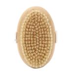 Dry Exfoliating Silicone Back Bamboo Shower Brush Wooden