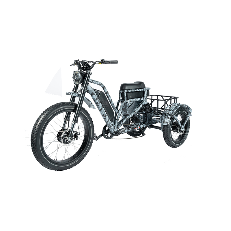 Electric Delivery Cargo Tricycle E-bike 3 Wheel Suspension Disc Brake Aluminum Fork