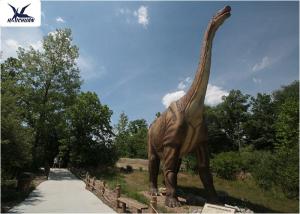 Quality Neck Turning / Tail Moving Fiberglass Outdoor Dinosaur Anti - High Temperature wholesale
