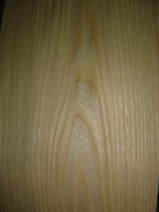 Quality Crown Cut Chinese Elm Veneer Natural Wood Veneers wholesale