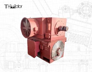 Quality 6KV 10KV Three Phase Induction Wound Rotor Synchronous Motor IP44 wholesale