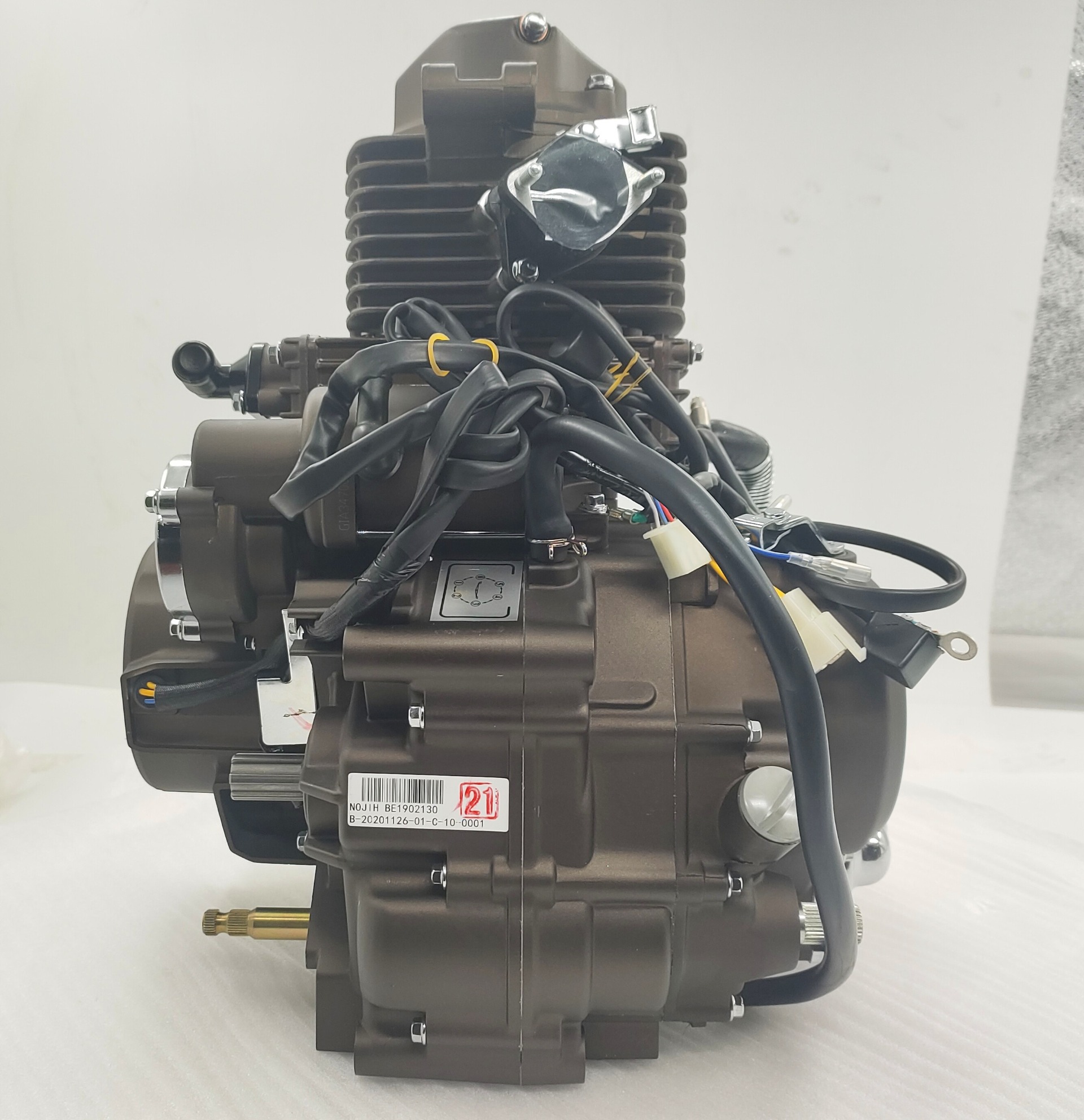 DAYANG LIFAN Motorcycle Engine Assembly Single Cylinder Four Stroke Style with Pump