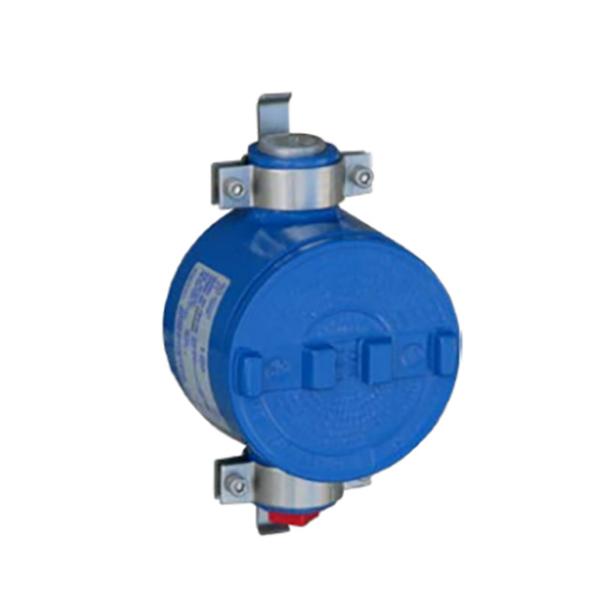 Magnetrol OES Point Level Switch Used As Fluid Level Indicators And Industrial