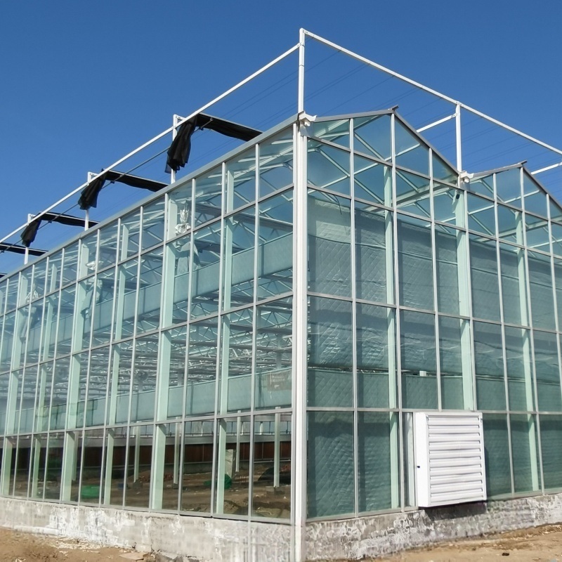 Juxiang Leafy Vegetable Container House