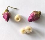 Screw Retained Fixture Level Dental Implants Crown