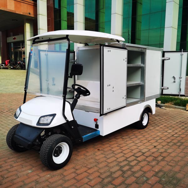 Electric Golf Cart 4 Wheel 2 Passengers Car With Container Load Buggy Stroller