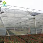 Chinese Plastic Film Greenhouse For Large Area Farming Growing