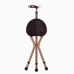 Medical Folding Cane Seat Handicapped Home Nursing Shower Lightweight