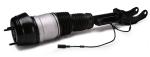 1663201313 Air Suspension Parts Air Suspension Strut
