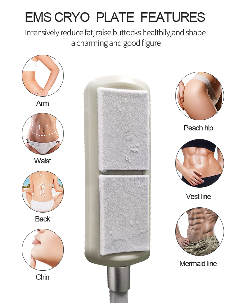 Ems Slimming Machine Cryoplate Body Sculpting Other Beauty Salon Equipment