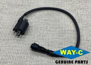 Quality 45D-H2310-00 Motorcycle Moto Ignition Coil Pack For YAMAHA FZ16 wholesale