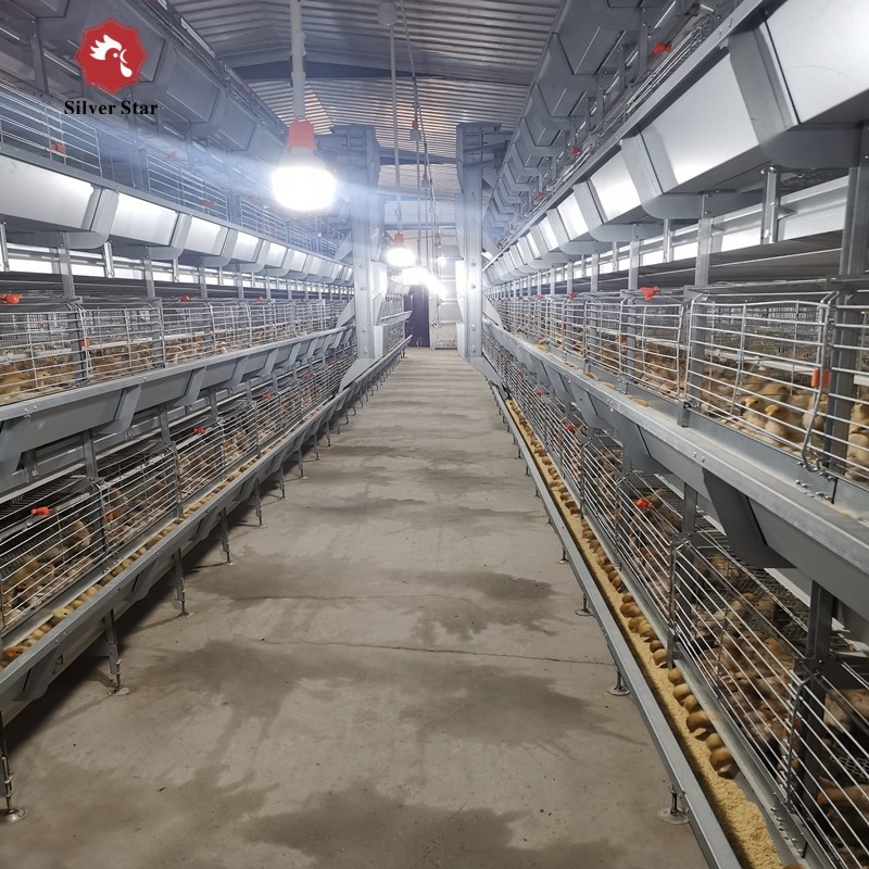 5000 Birds Broiler Poultry Cage Farm Hot Dip Galvanized Battery H Frame Farm Chicken
