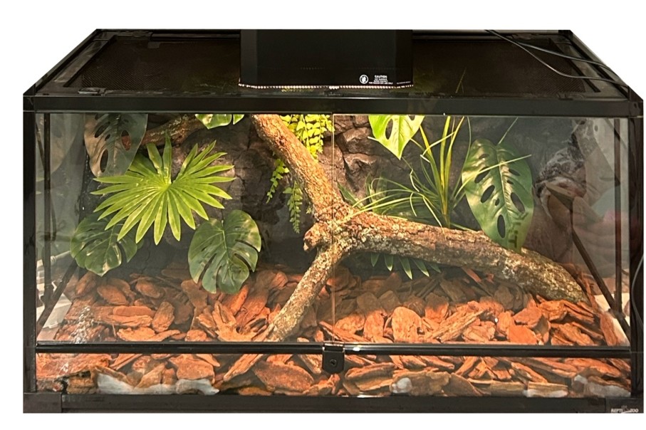 Natural Texture Reptile Cage Background Flameproof Customizable For Snack