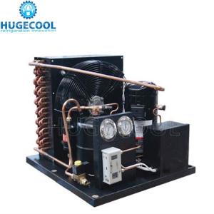Quality Small Cold Room Condensing Unit Low Noisy For Cold Room Refrigeration wholesale