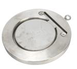 Single leaf door disc thin check valve