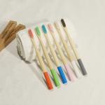 Portable Extra Soft Bristle Bamboo Toothbrush 100 Percent Biodegradable