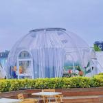 5m Patrick Star Bubble House