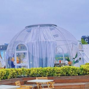 Quality 5m Patrick Star Bubble House wholesale