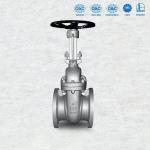 Flange Ends Cast Steel Gate Valves ASME B16.5 Size 2" To 36" API 6D