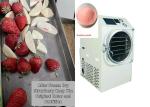 Electric Heating Household Small Scale Freeze Dryer 6kg/Batch