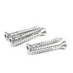 410 316 304 Stainless Steel HEX Head 17 Torx Multi Purpose Wood Screws