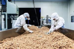 Quality Palm Oil Healthy Dried Onions For Hot Dogs wholesale