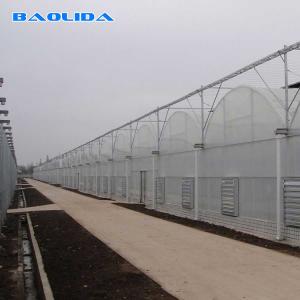 Quality Prefabricated Tunnel Plastic Film Multispan Greenhouse Plastic Film Greenhouse wholesale