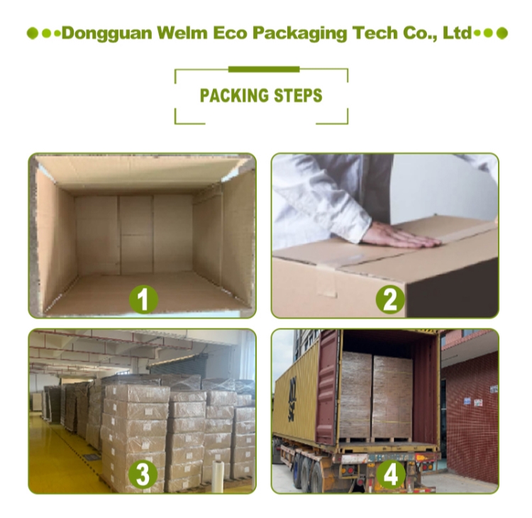Biodegradable Burger Hamburger French Fries Boxes Package Customized Shape