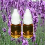 E juice 10ml fruit flavours
