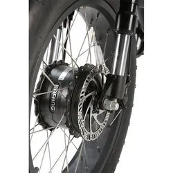 48v 500W 1000W 1500W 2000W Electric Bike Motor for Men High Power CE FCC Rohs Certified