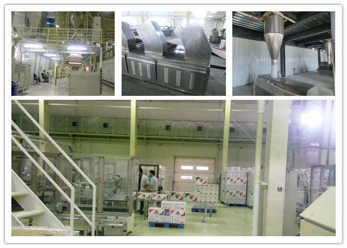 Professional Noodle Production Line Hanging Noodle Equipment Making Dried Noodle