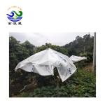 120Gsm Spunbond Mulching Sheet For Agriculture