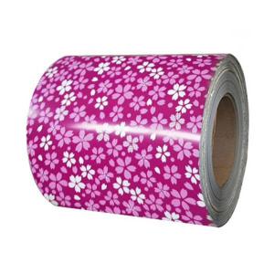 Quality Prepainted PPGI PPGL Steel Coil Color Coated Cold Rolled 600mm 0.5m - 12m wholesale