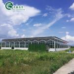 Multi-Span Agricultural Greenhouses Prefabricated Rain Shelter for Tomato