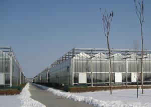 Quality PC Sheet Covered Multi Span Greenhouse Venlo Type Strong Light Transmission wholesale