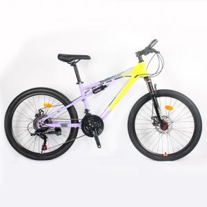 Quality Wholesale 21 Speed Customized Cheap Adult Mountain Bike 24/27.5 Inch Bicycle wholesale