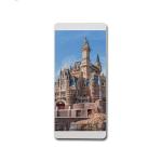 Waterproof Advertising Outdoor Pole LED Display Iron Cabinet Materials