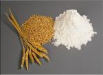 Wheat Gluten Meal Protein Content 75% Min , on Dry Basis , N X 5.7 HS code 1109