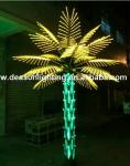 palmiers lumineux