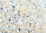 Exterior Granite Stone Paint / Spray Granite Coating For Commercial Club