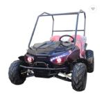 NEW ARRIVEL PHYES 60V 1200W ELECTRIC KIDS Go Cart Buggy for Hot Sale