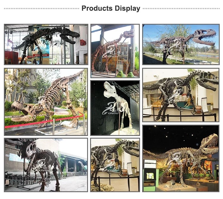 Artificial Simulation Complete Dinosaur Fossil Model Customization Support