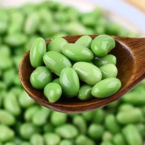 Quality HACCP KOSHER Frozen Shelled Edamame Beans Japanese Style wholesale