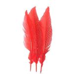 Shipping Worldwide Silver Pheasant Feather for Carnival Costumes and Party