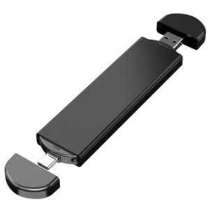 Quality Type-C USB3.0 Portable SSD M.2 nvme sata 256GB 512GB SSD For Laptop wholesale