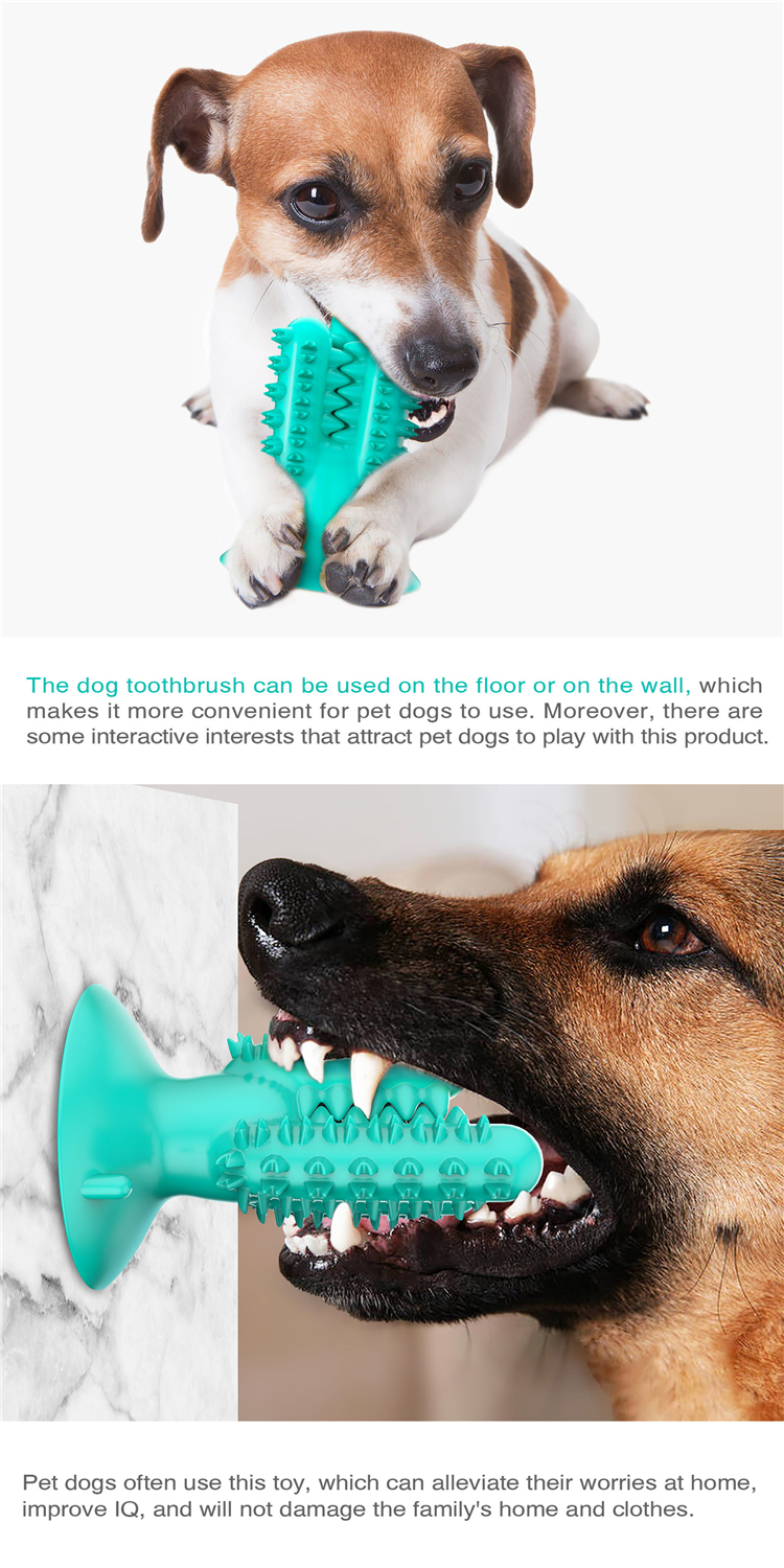 High Quality Dog Chew Toys Cactus Shape Dog Toothbrush Pet Suction Cup Toys For Pet