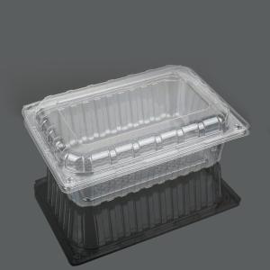 Quality Virgin Food Grade PET 22.5cm Disposable Plastic Food Box wholesale