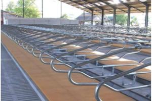 Quality Single Row Type Galvanized Livestock Cow Free Stall wholesale