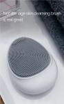 Waterproof IPX7 Skin Massage Ultrasonic Facial Cleaner High Frequency Vibration
